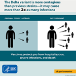 Delta Variant: What We Know About the Science